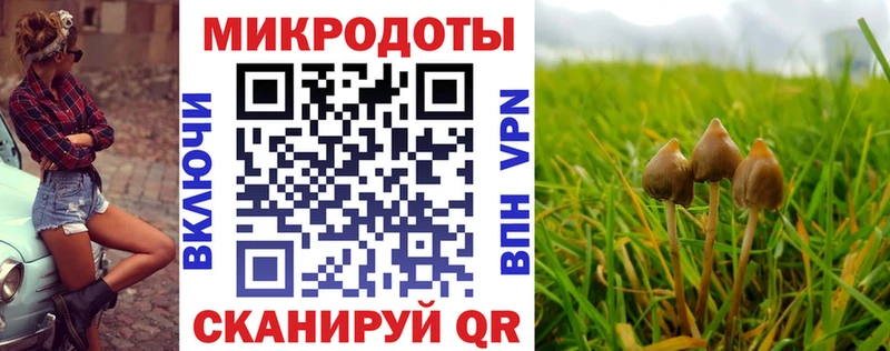 дарнет шоп Сольцы Галлюциногенные грибы мухоморы
