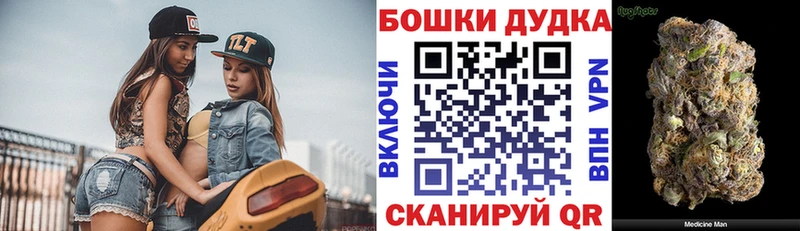 купить наркотик  Сольцы  Конопля ГИДРОПОН 
